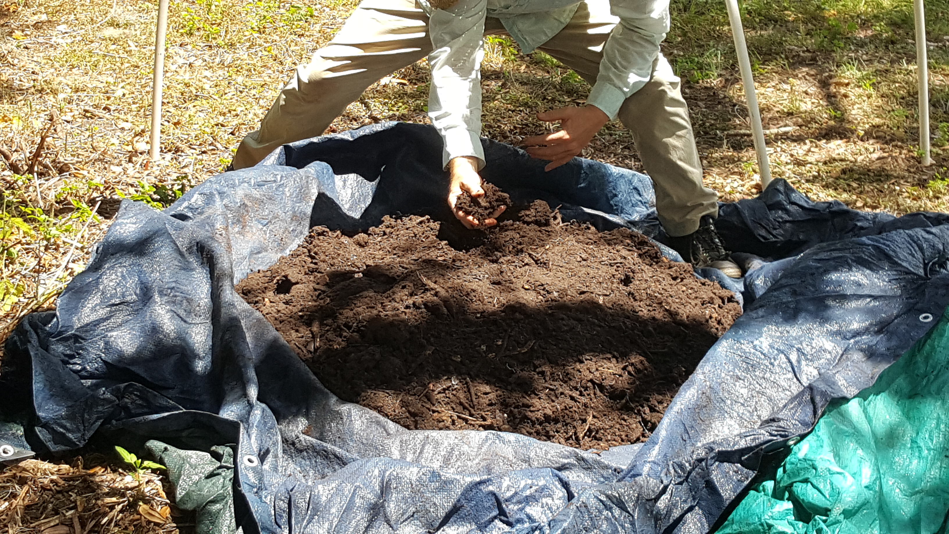 Christopher's compost 