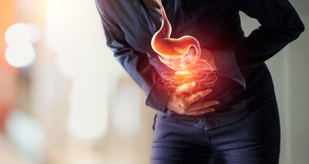 Low levels of Akkermansia lead to GI distress issues. Low levels of Akkermansia lead to GI distress issues.