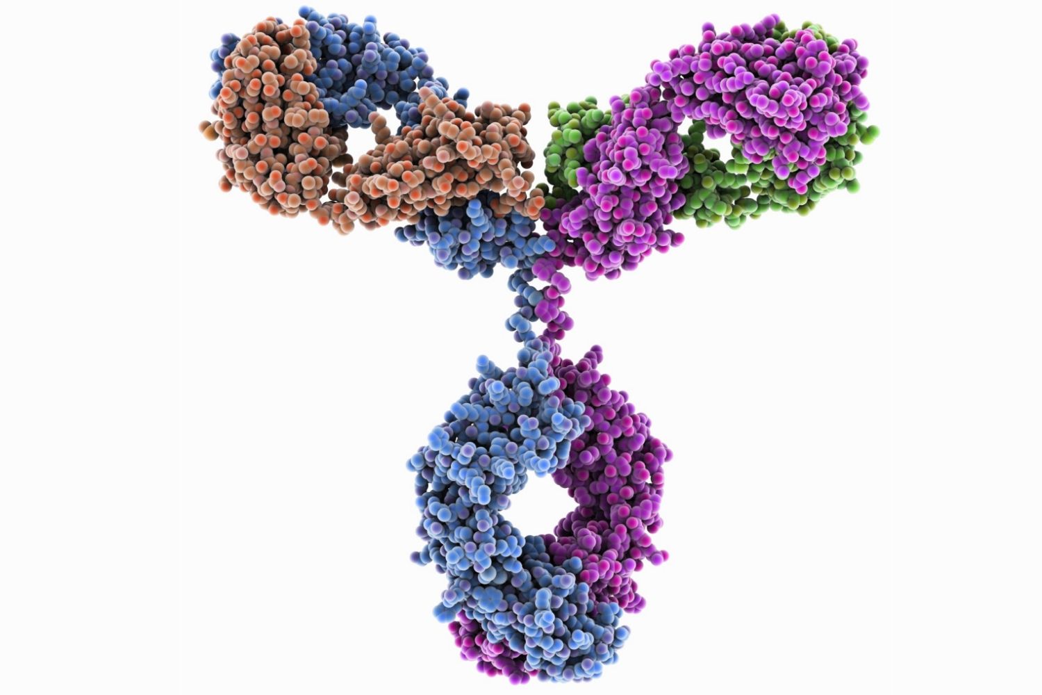 A protein structure.