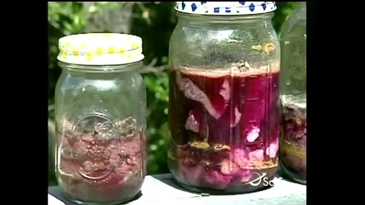 Jars of fermented meats. Jars of fermented meats.