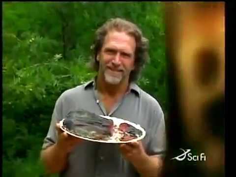 Aajonus was featured on Ripley's Believe It or Not. Aajonus was featured on Ripley's Believe It or Not.