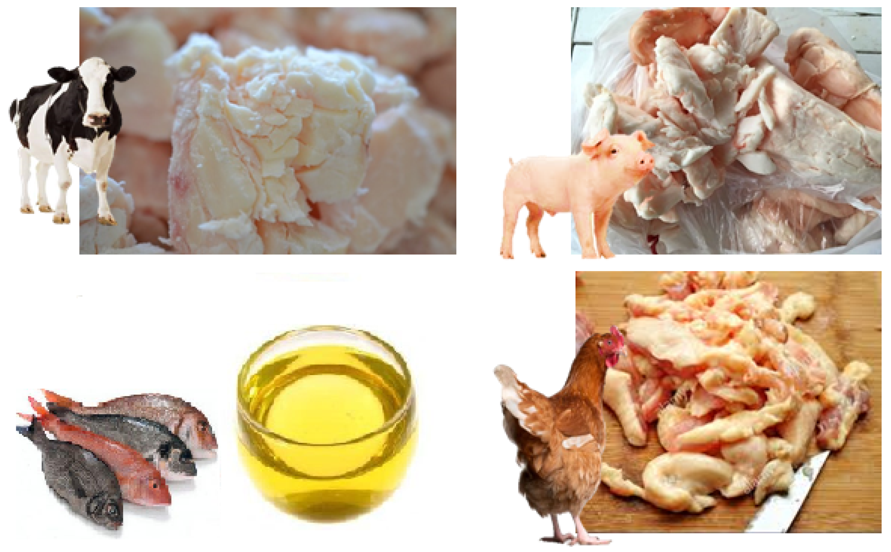 Animal fats are known to be low in deuterium. Animal fats are known to be low in deuterium.