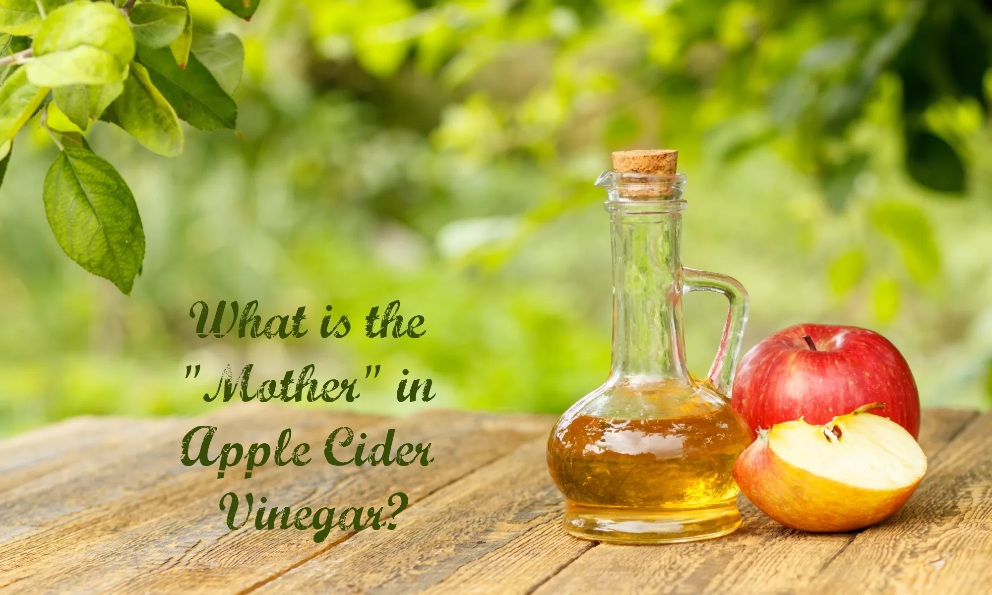 Apple cider vinegar can be a substrate for butyrate-producing bacteria. Apple cider vinegar can be a substrate for butyrate-producing bacteria.