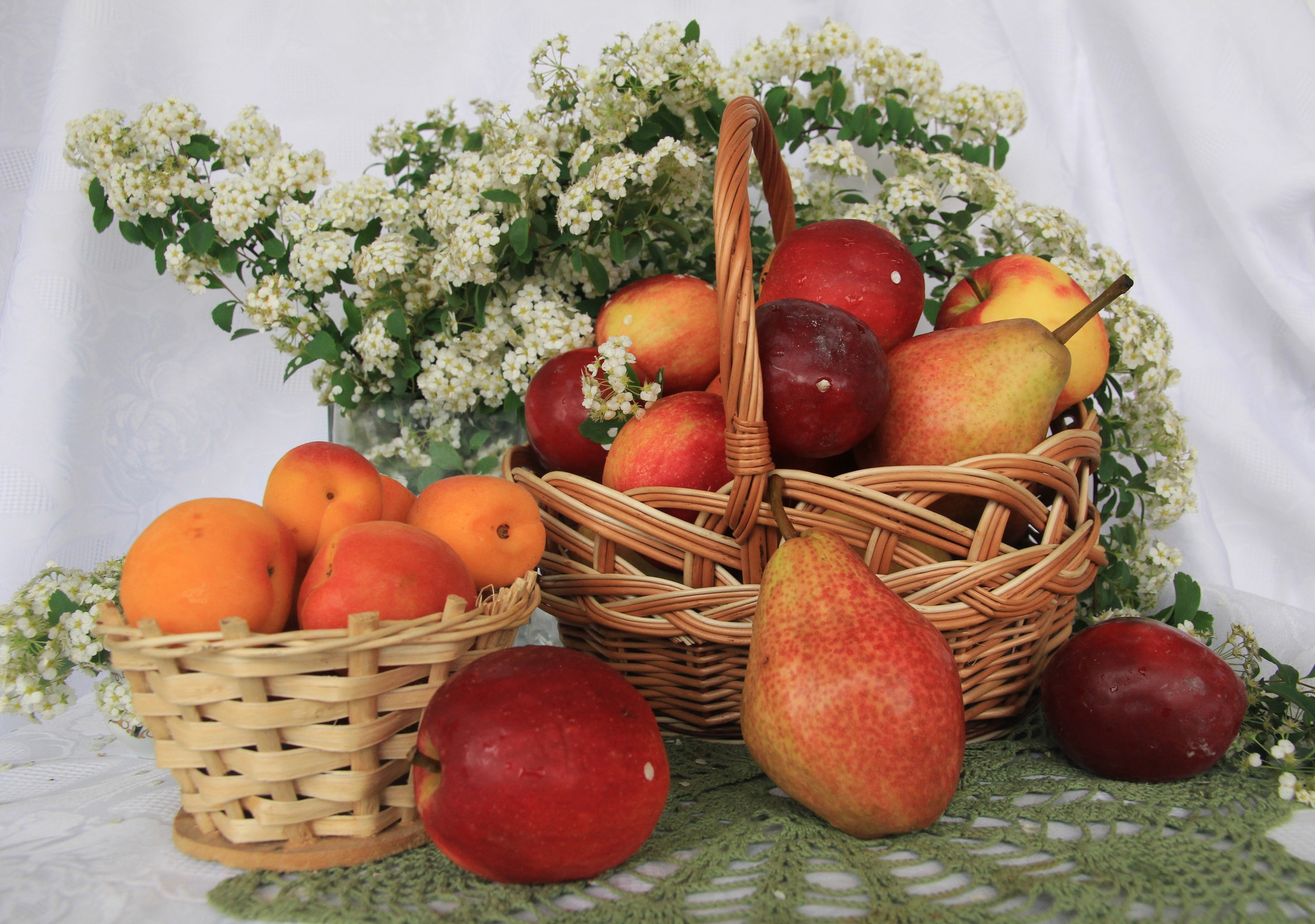 Apples, pears, and apricots come with pectin that is food for the microbes. Apples, pears, and apricots come with pectin that is food for the microbes.