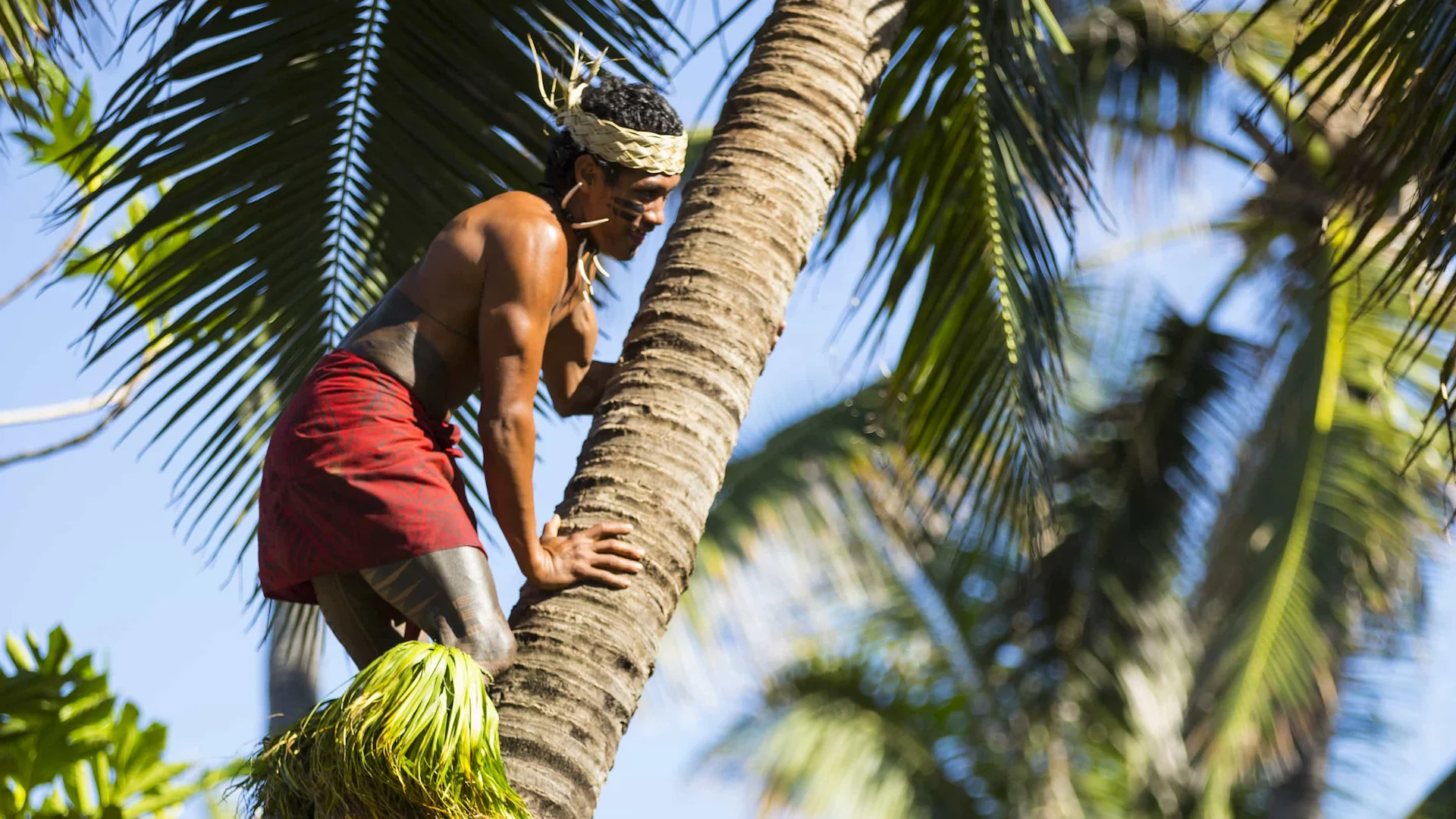 Polynesians were very strong and fit people that lived in the Pacific. Polynesians were very strong and fit people that lived in the Pacific.