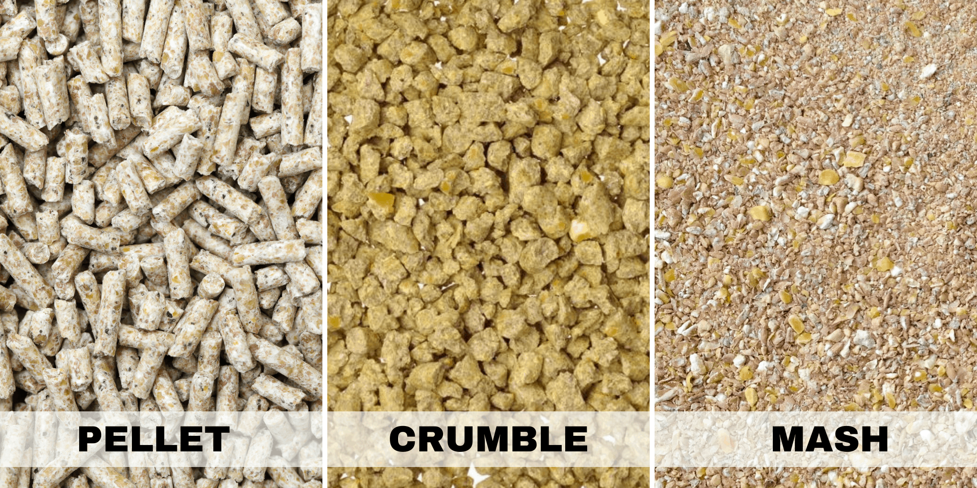 Different types of commercial chicken feed.