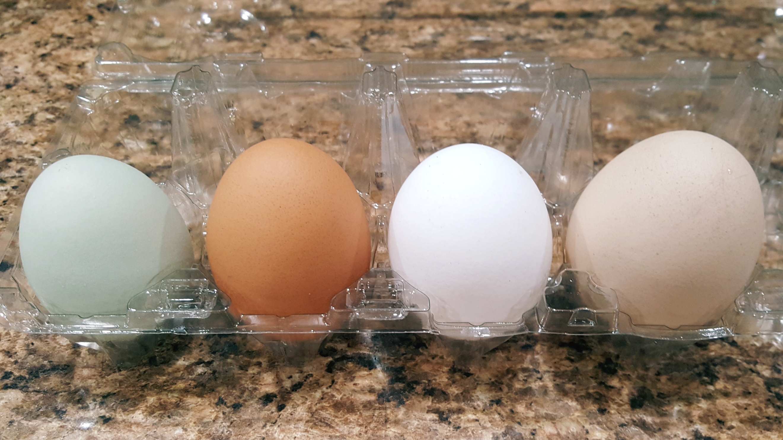 different sizes of eggs