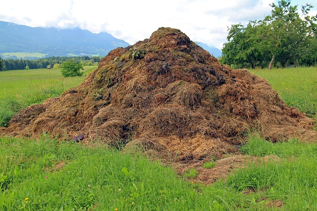 Composting with dung or animal manure is very common because this type of compost will add nitrogen and phosphorus back into the soil.