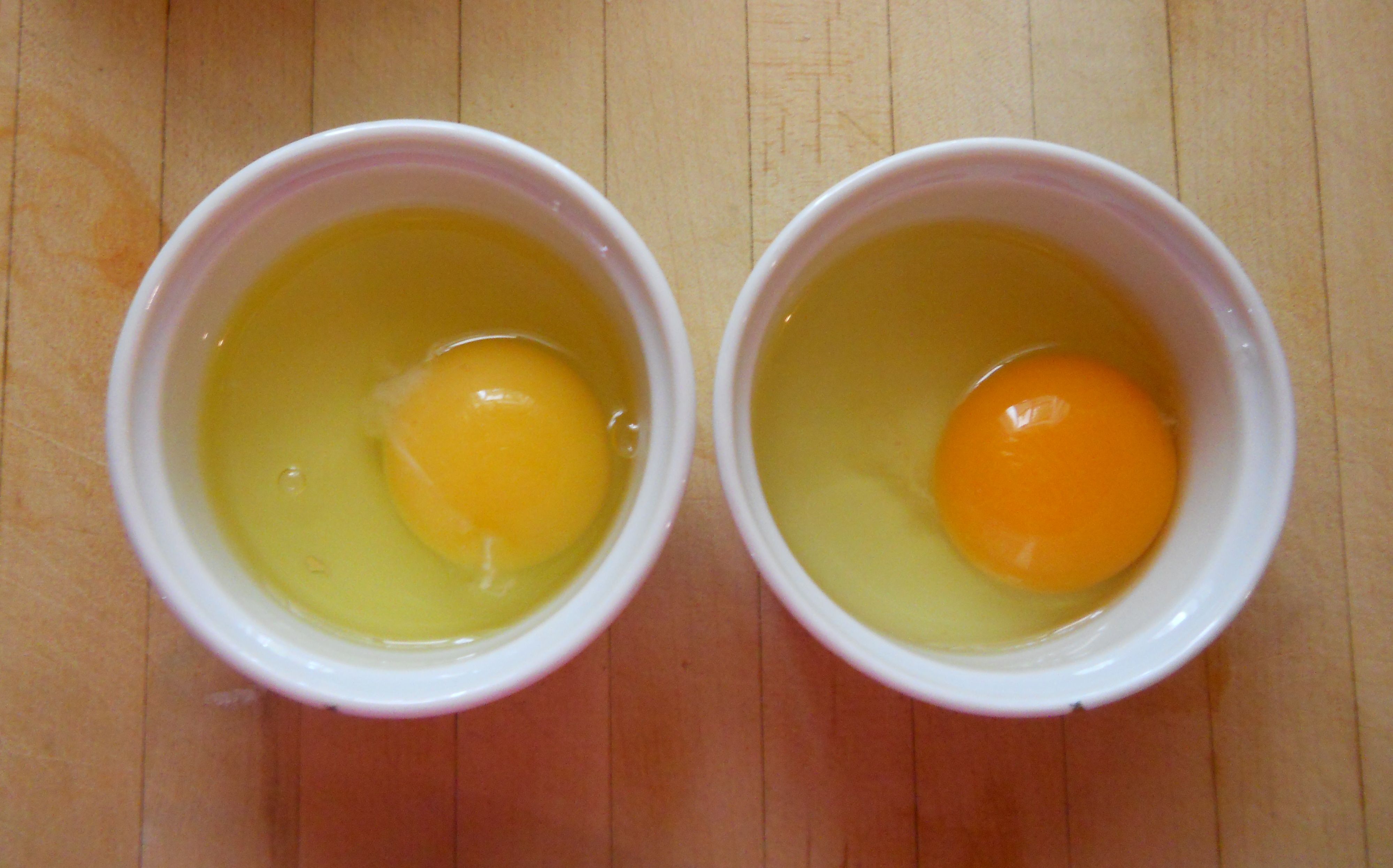 Egg comparison