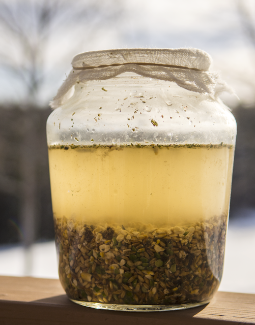 Fermenting chicken feed.