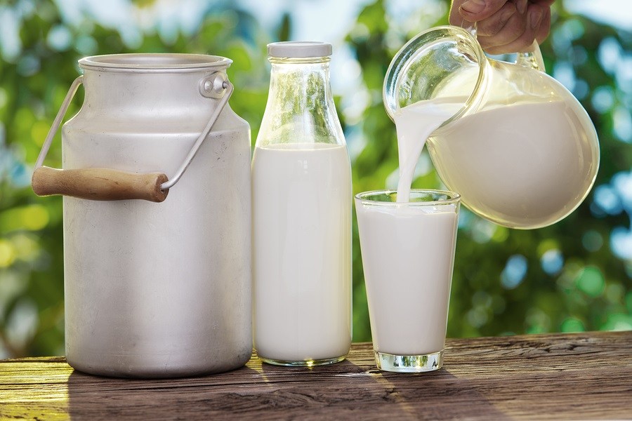 Fresh raw milk contains vitamin C.