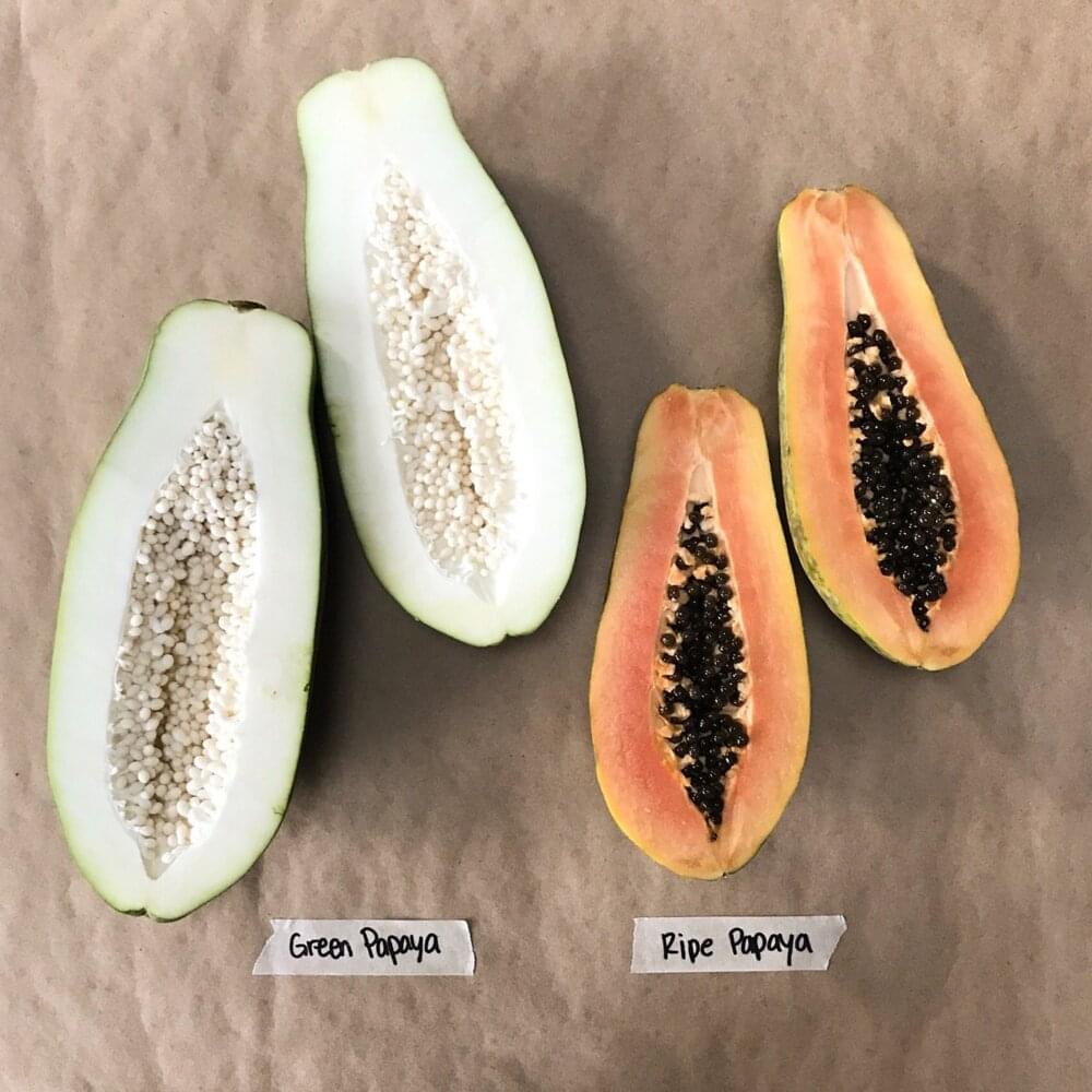 Green and ripe papayas have the papain enzyme.