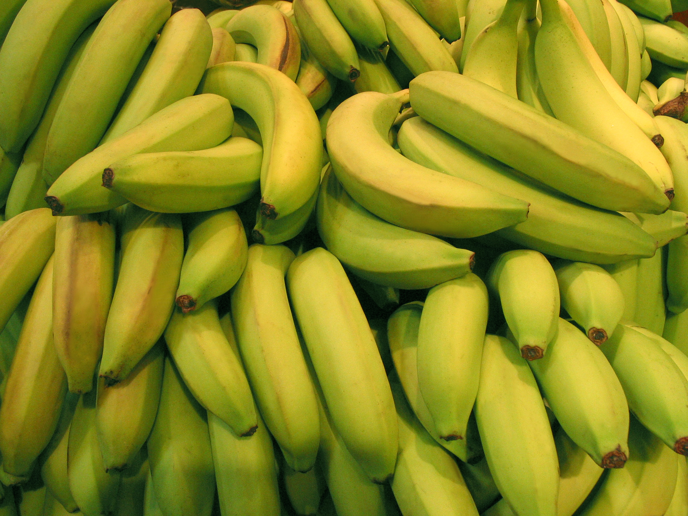 Green bananas will have more amylase than ripe bananas.