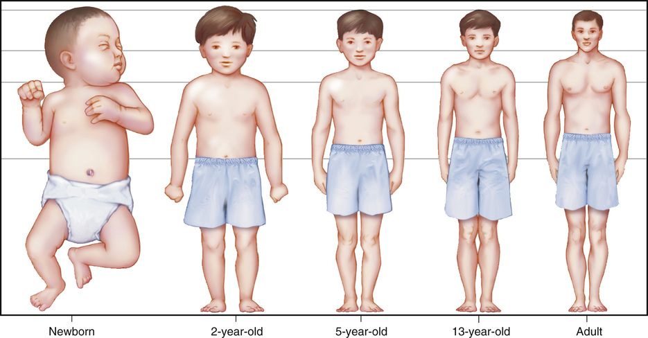 Growth and development of a male.