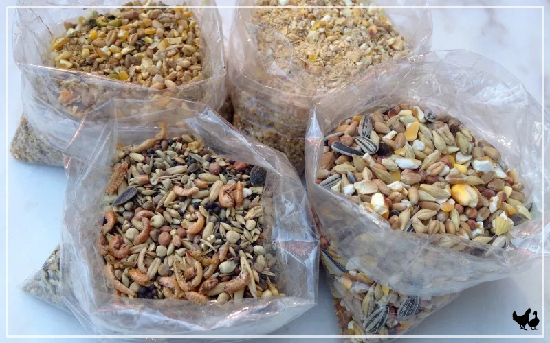 Homemade chicken feed.