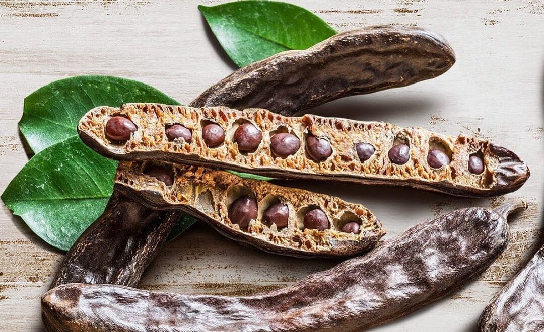 The inside of a carob pod.