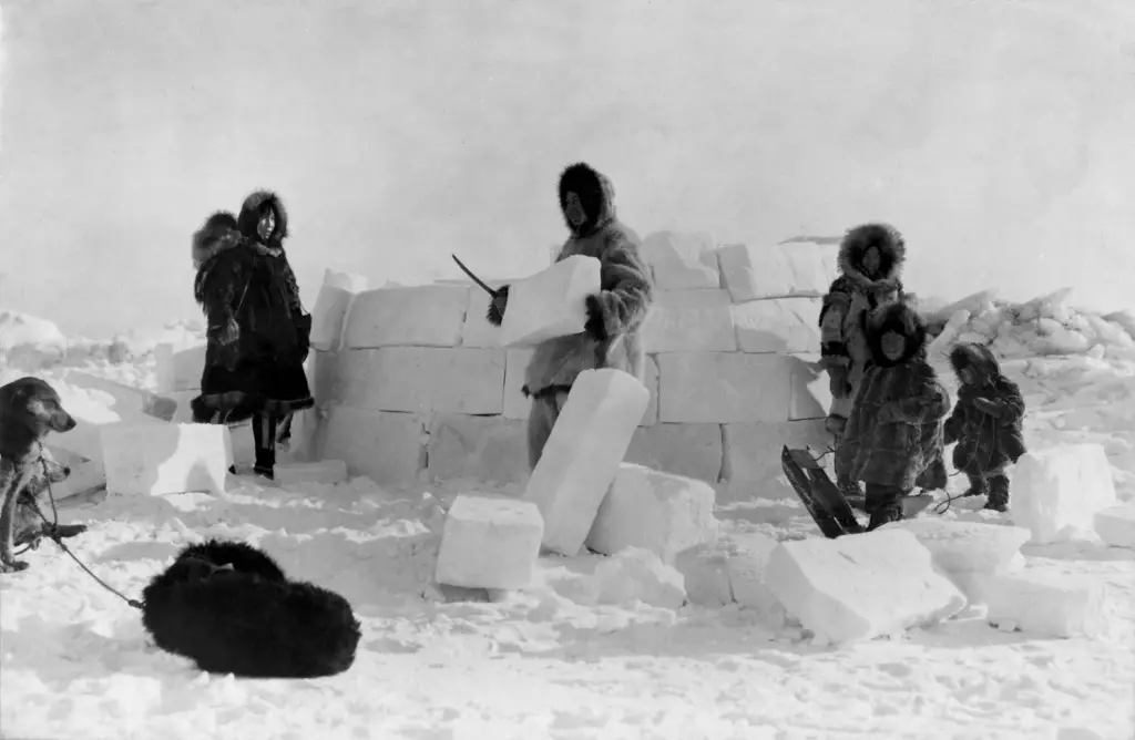 Eskimos building an igloo.
