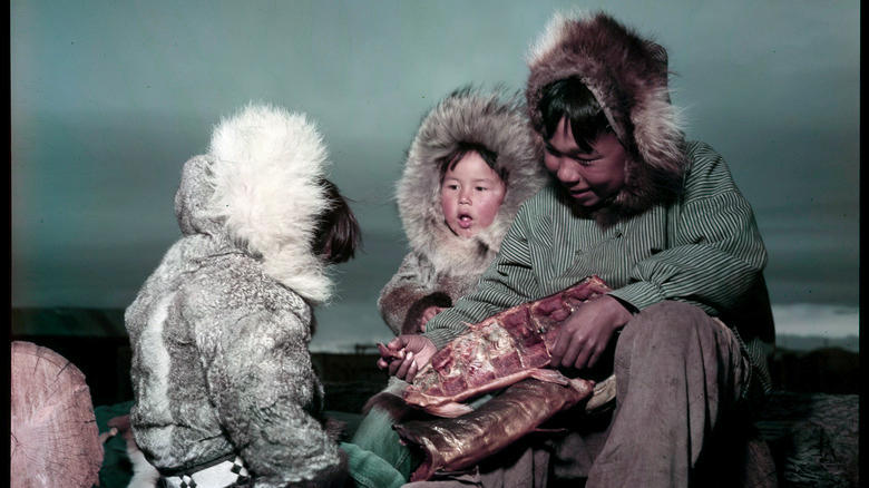 Inuit family eating fermented meat. Inuit family eating fermented meat.
