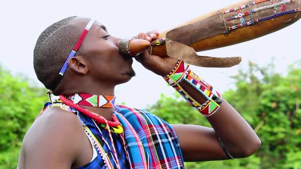 Masai warriors drank a lot of raw milk. Masai warriors drank a lot of raw milk.