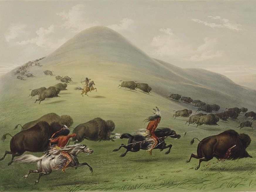 Native American tribe and buffalo.