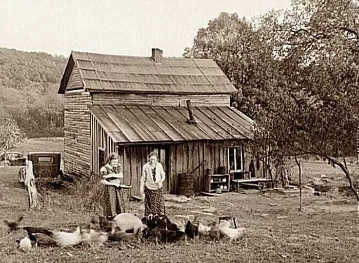 Old time farm and animals.
