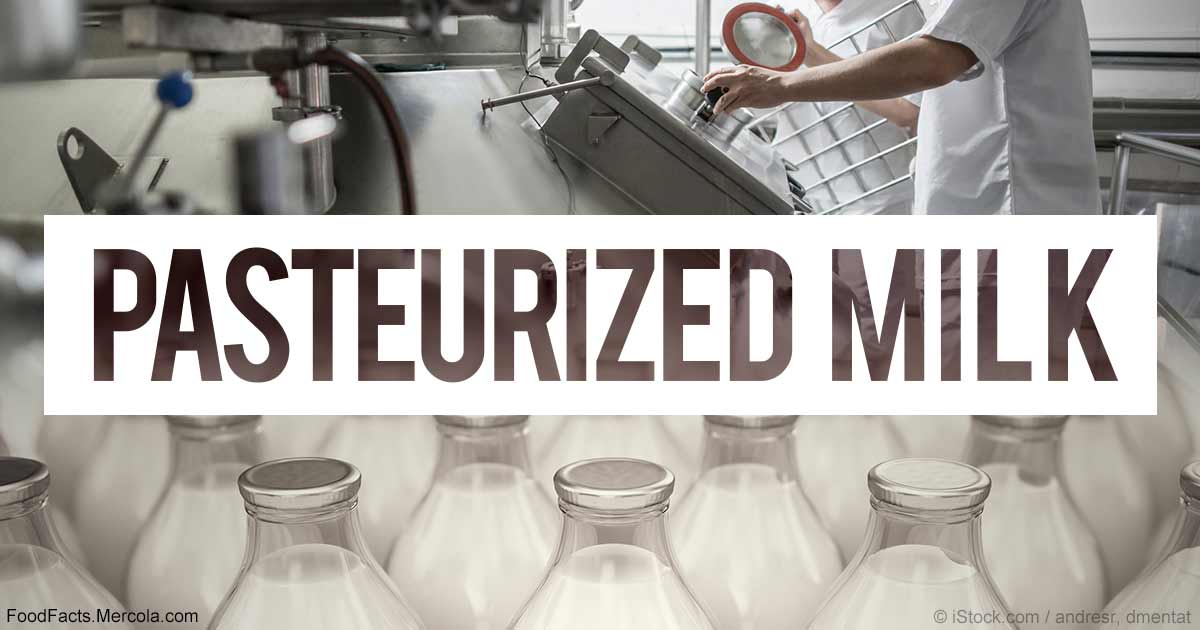 Pasteurized milk's nutrients are for the most part destroyed.