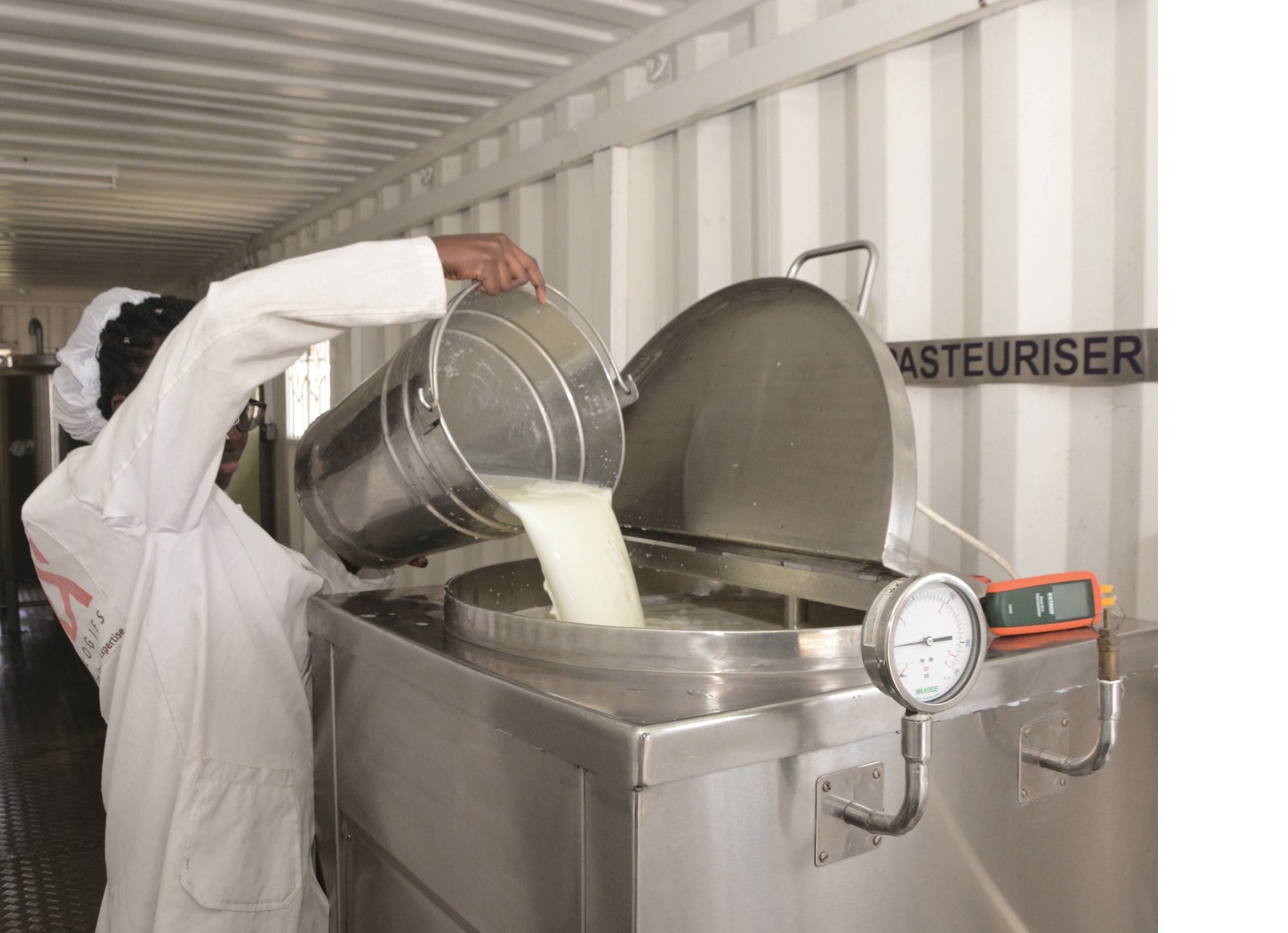 Pasteurizing milk.