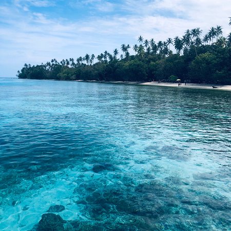 Islanders that lived in the Pacific and ate coconuts and seafood were very healthy people. Islanders that lived in the Pacific and ate coconuts and seafood were very healthy people.