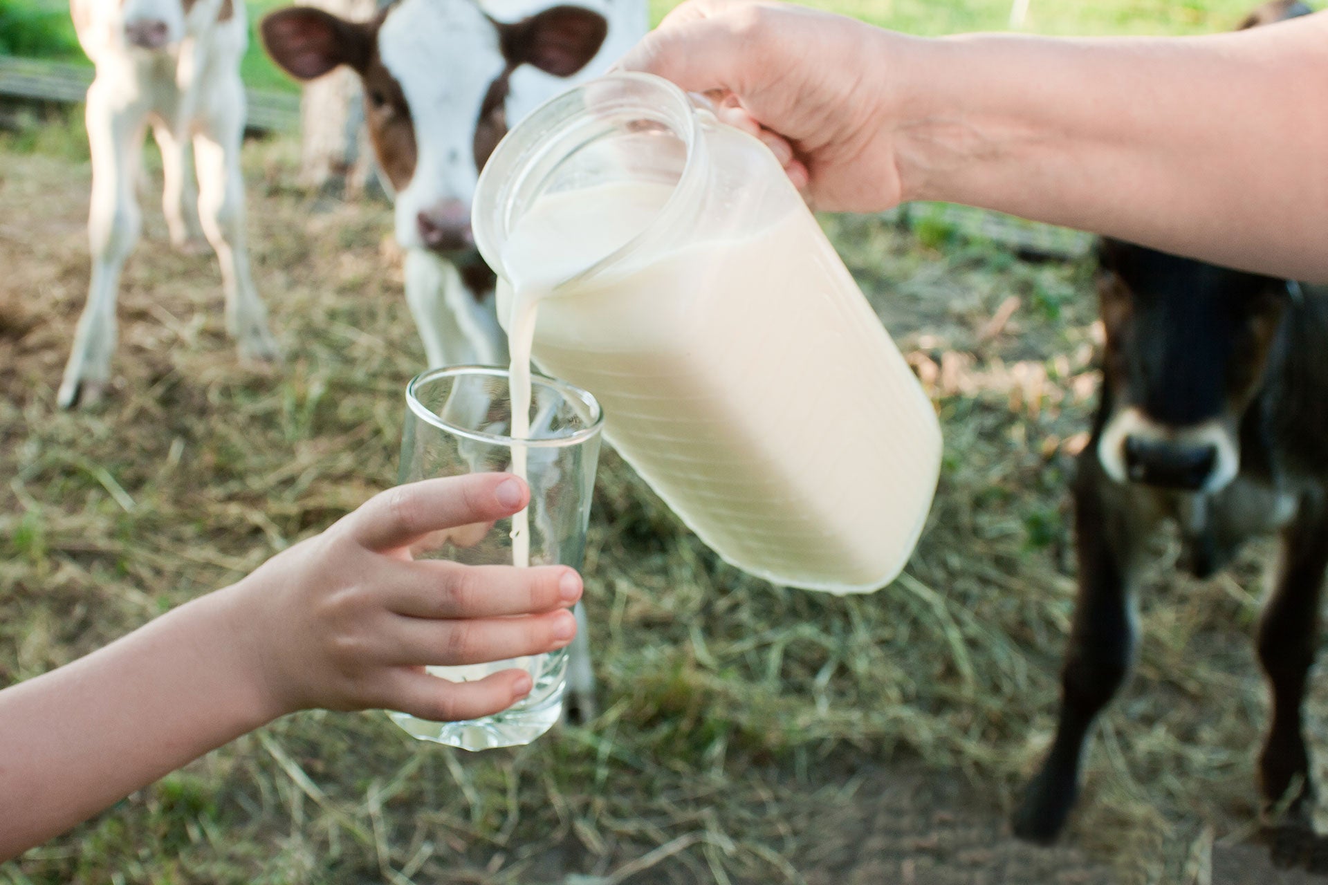Pouring fresh milk with fat-soluble vitamins.