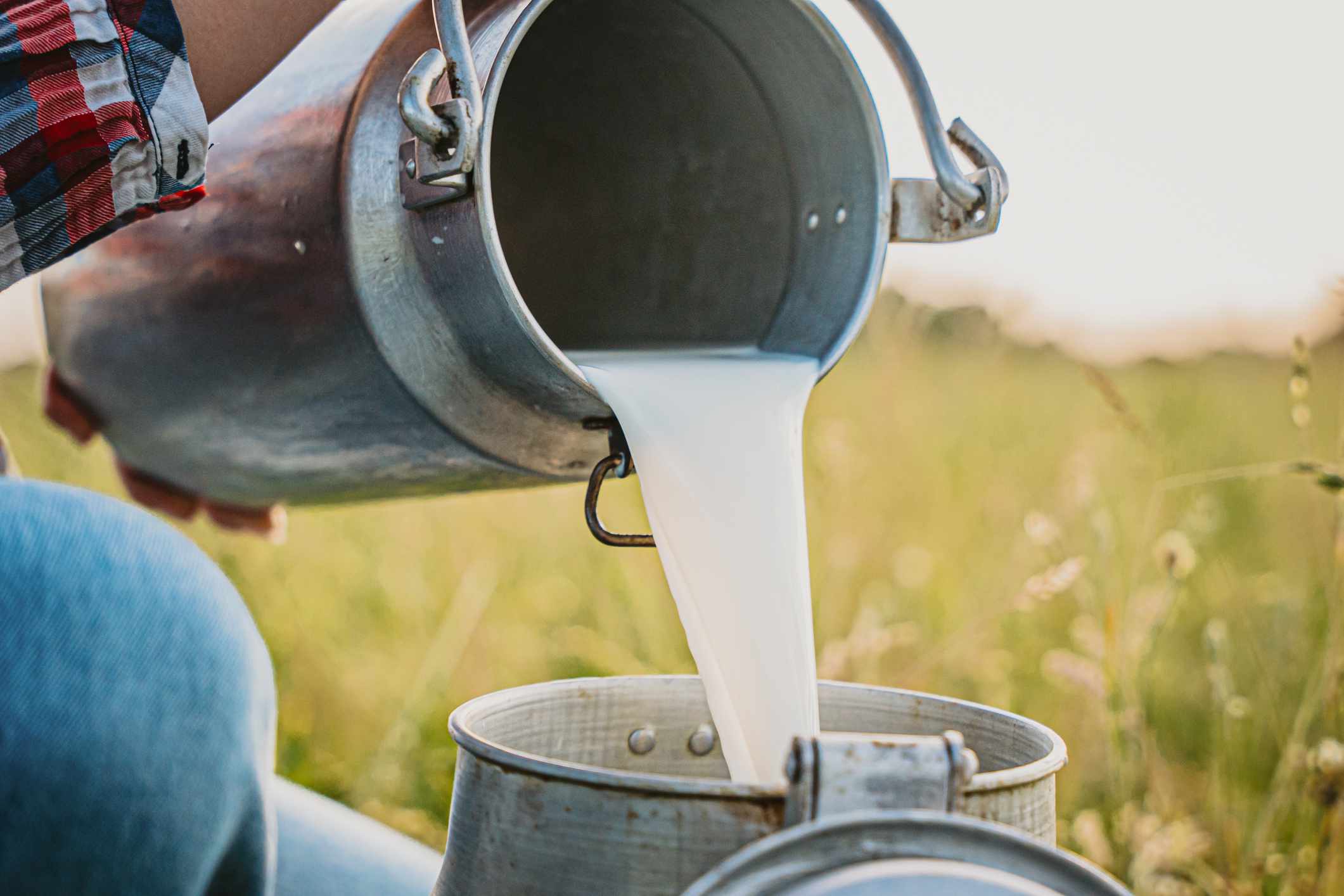 Raw milk is loaded with enzymes. Raw milk is loaded with enzymes.
