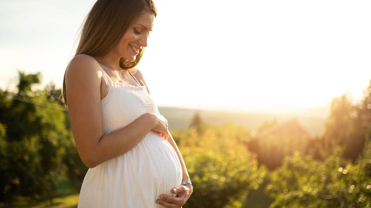 The hormone leptin plays a big role in reproduction. The hormone leptin plays a big role in reproduction.