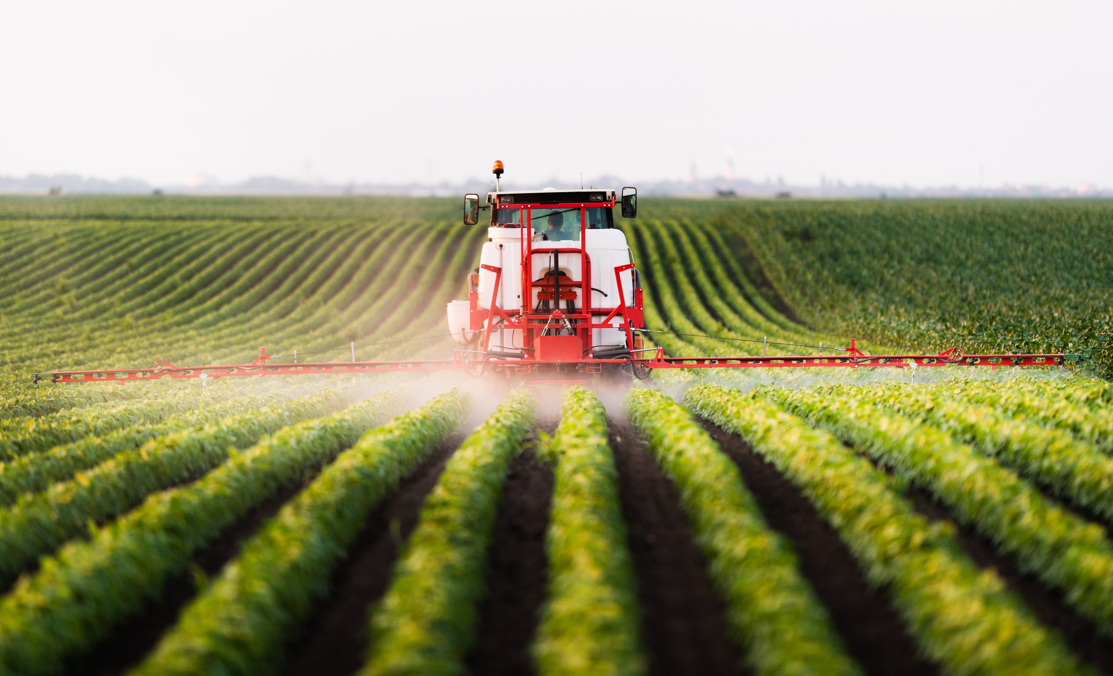 The glyphosate from products like Roundup kill microbes that make short-chain fatty acids. The glyphosate from products like Roundup kill microbes that make short-chain fatty acids.