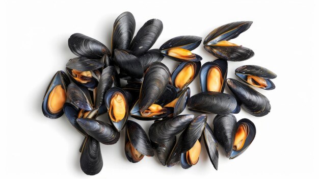 Raw mussels are a shellfish with a good amount of DHA and electrons.