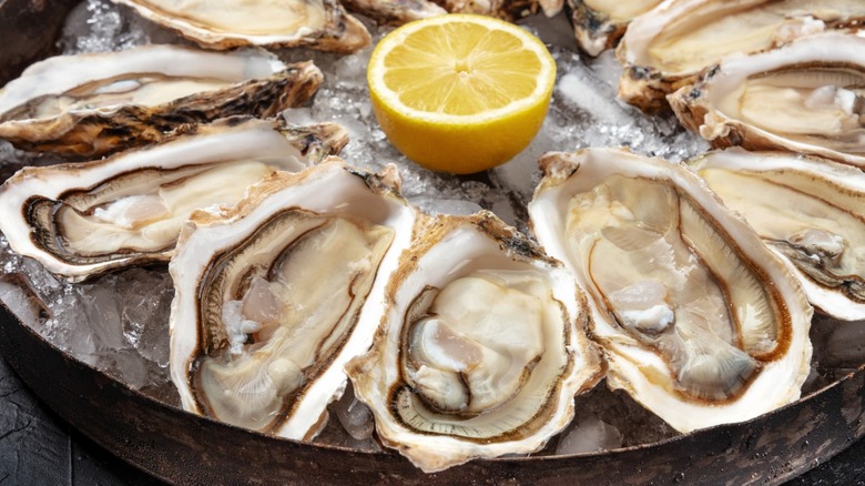 Raw oysters are a source of calcium and fat soluble vitamins.