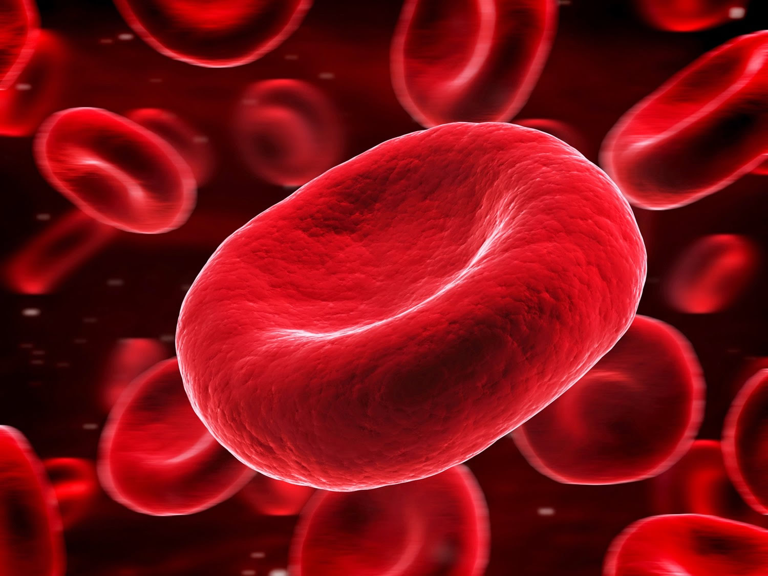 Red blood cells.