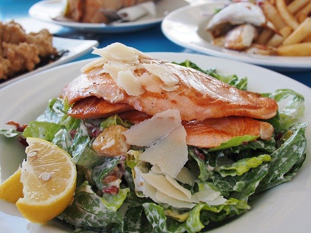 cooked salmon on greens