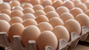 Salmon Faverolle chicken eggs. Salmon Faverolle chicken eggs.