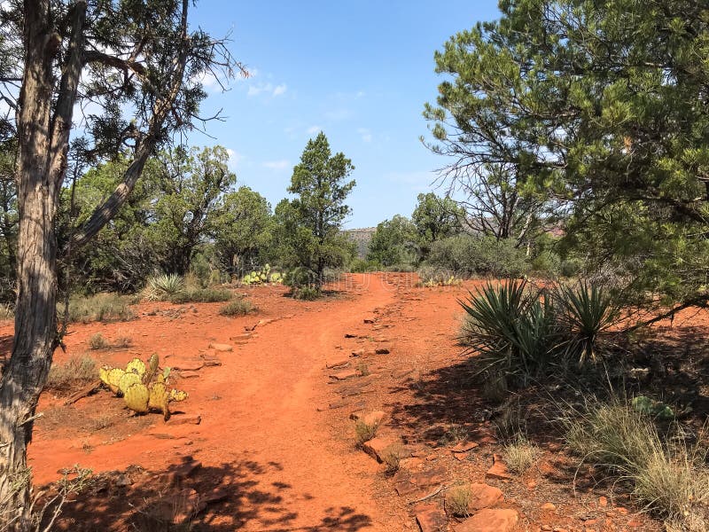 Red soil in Arizona if full of iron rich minerals.
