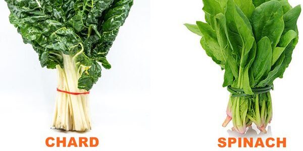 Spinach and swiss chard contain oxalates that block calcium.
