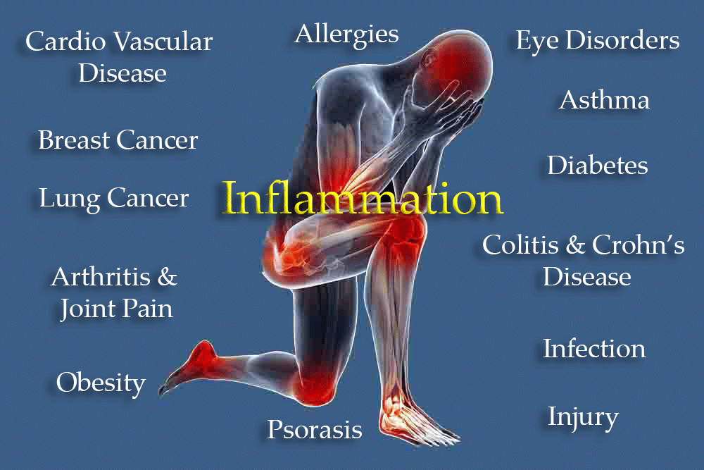 Inflammation in the body can be the result of starving-out the butyrate producing bacteria. Inflammation in the body can be the result of starving-out the butyrate producing bacteria.