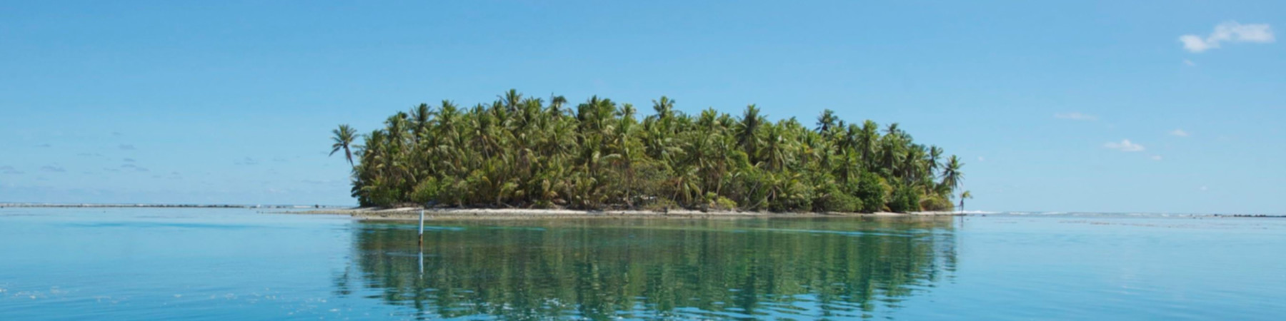Polynesians from the islands of Tokelau ate the most amount of saturated fats. Polynesians from the islands of Tokelau ate the most amount of saturated fats.
