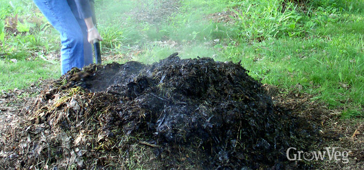 Turning hot compost pile.